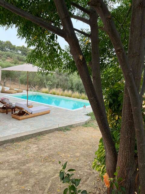 Dobrino Tradizio Peloponnese