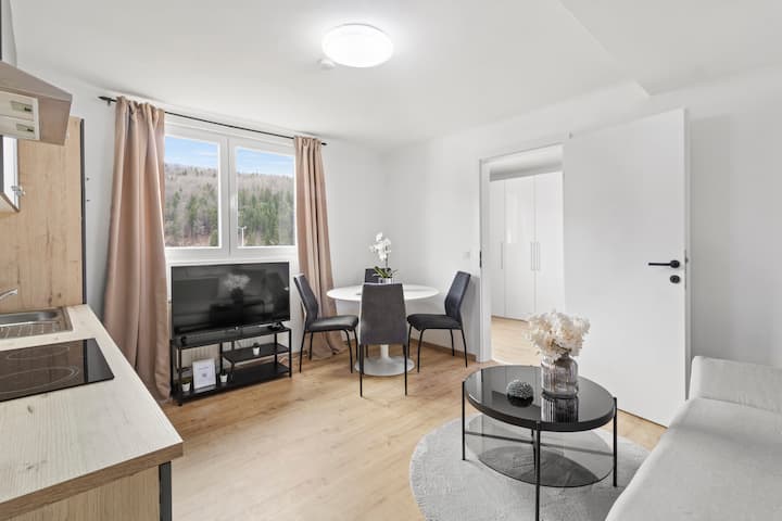 Farawayhomes Studio Leoben #P71 - Hinterberg