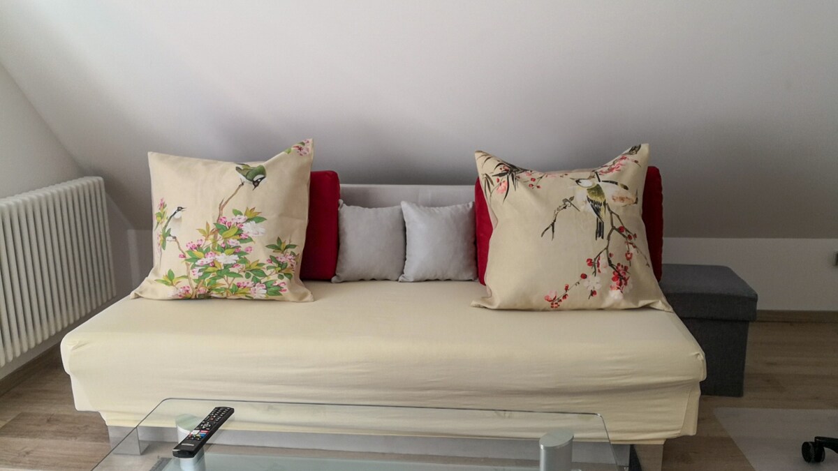A cozy sofa is accented with decorative cushions featuring floral and bird designs. A glass coffee table is positioned in front, with a remote control placed on its surface. Soft light enters from nearby windows, illuminating the inviting sitting area.