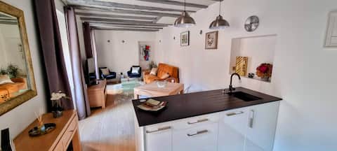 Annonce Airbnb populaire: Lovely apartment in the heart of the old town à Annecy