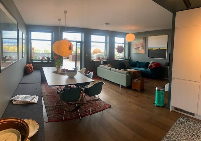 75 kvm takterasse Oslo sentrum gallery image 3