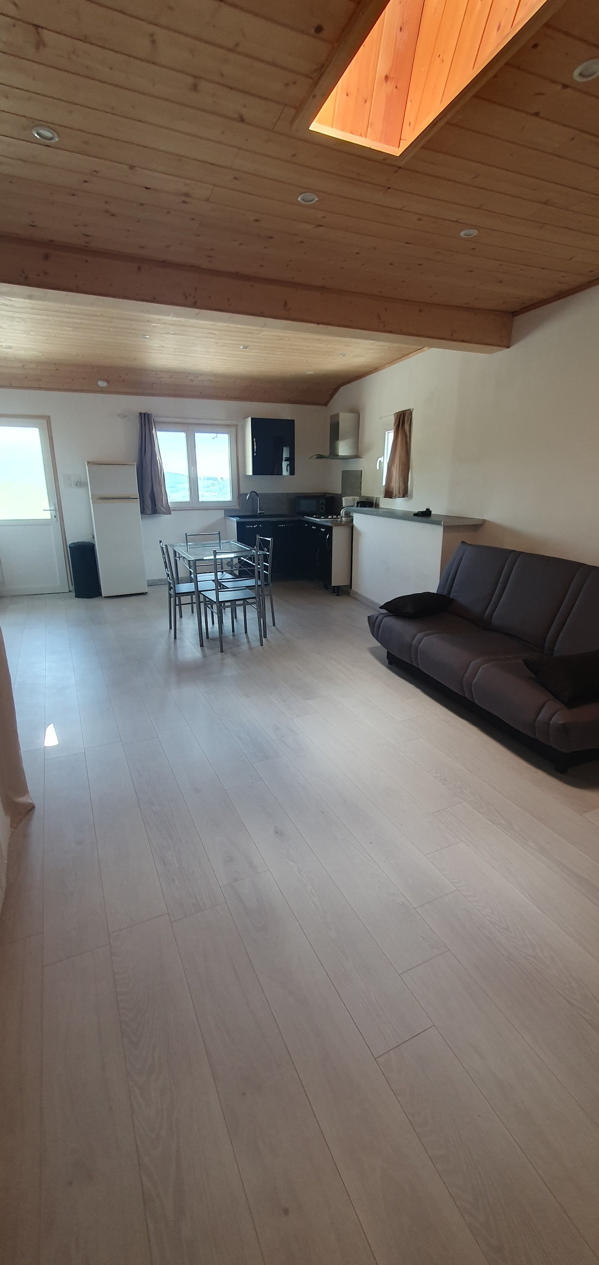 An open living space showcases a double sofa bed positioned opposite a dining table with four chairs. A kitchenette is visible in the corner, featuring black cabinetry and modern appliances. Natural light filters in through two nearby windows, enhancing the room's airy feel.