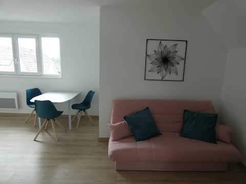 Top Airbnb: Grand Studio à Colmar