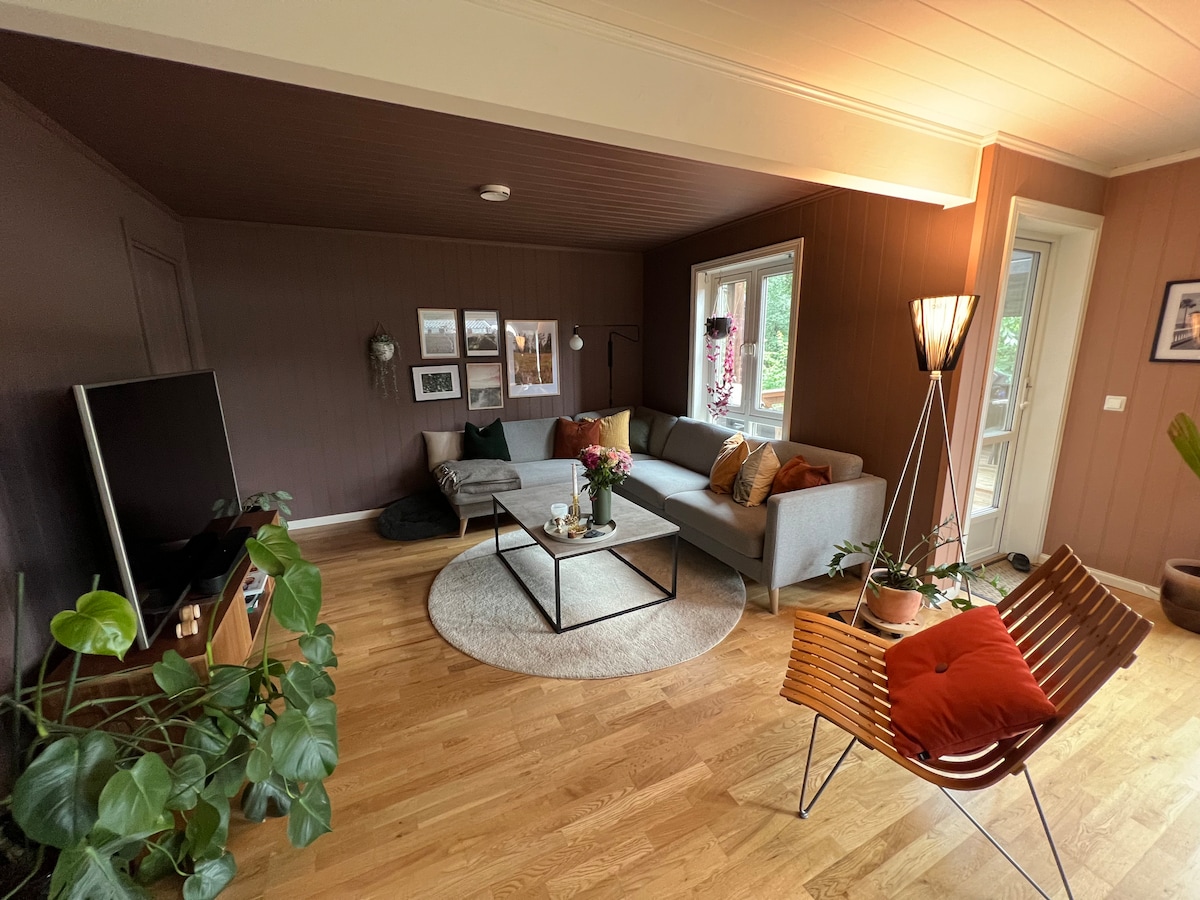 A comfortable living area features a sectional sofa paired with a round coffee table, framed artwork on the walls, and large windows allowing natural light. House plants add greenery, while a rustic chair with cushions offers additional seating. A soft area rug enhances the space.