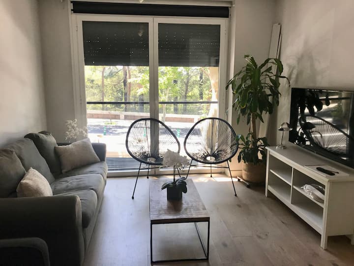 Салон на главната улица с изглед към Кралския дворец