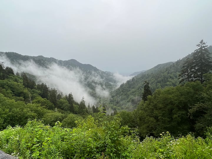 Grammas Mountain Cabin - Maggie Valley, NC