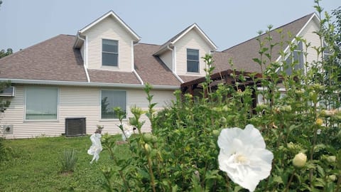 Mozingo Lakeview Apartment