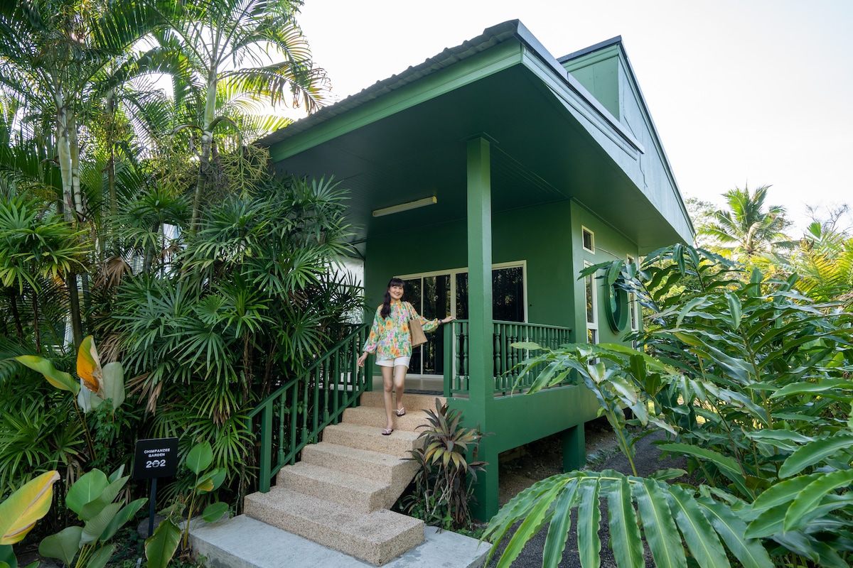 A modern green cottage is set amidst lush tropical foliage. A series of wide steps lead to the entrance, which features large glass windows. The surrounding plants create a natural and serene atmosphere, enhancing the cottage's secluded charm.