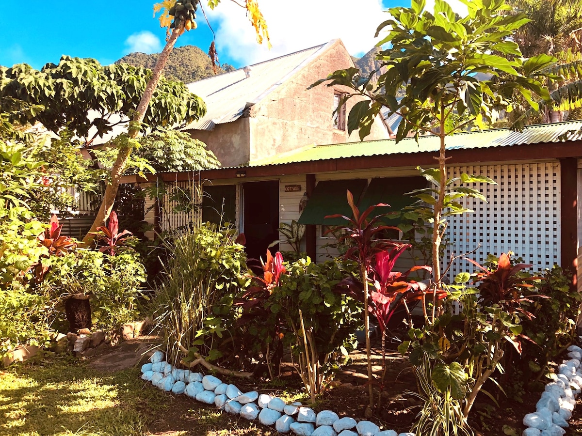 A cottage is surrounded by a lush garden featuring various tropical plants, including large green leaves and colorful flowers. The front of the building showcases a covered porch, and a pathway lined with white stones leads toward the entrance.