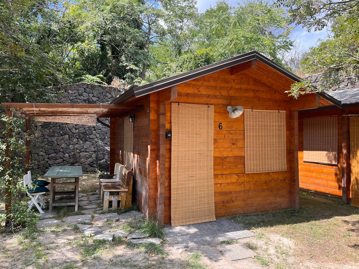 A charming wooden cabin is showcased with a textured façade, featuring bamboo shades on the windows. A simple patio area with a wooden table and chairs invites relaxation. Surrounding greenery complements the serene outdoor setting.