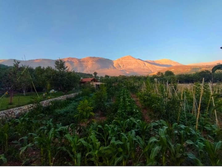 Lebanon Cabin Vacation Rentals Airbnb