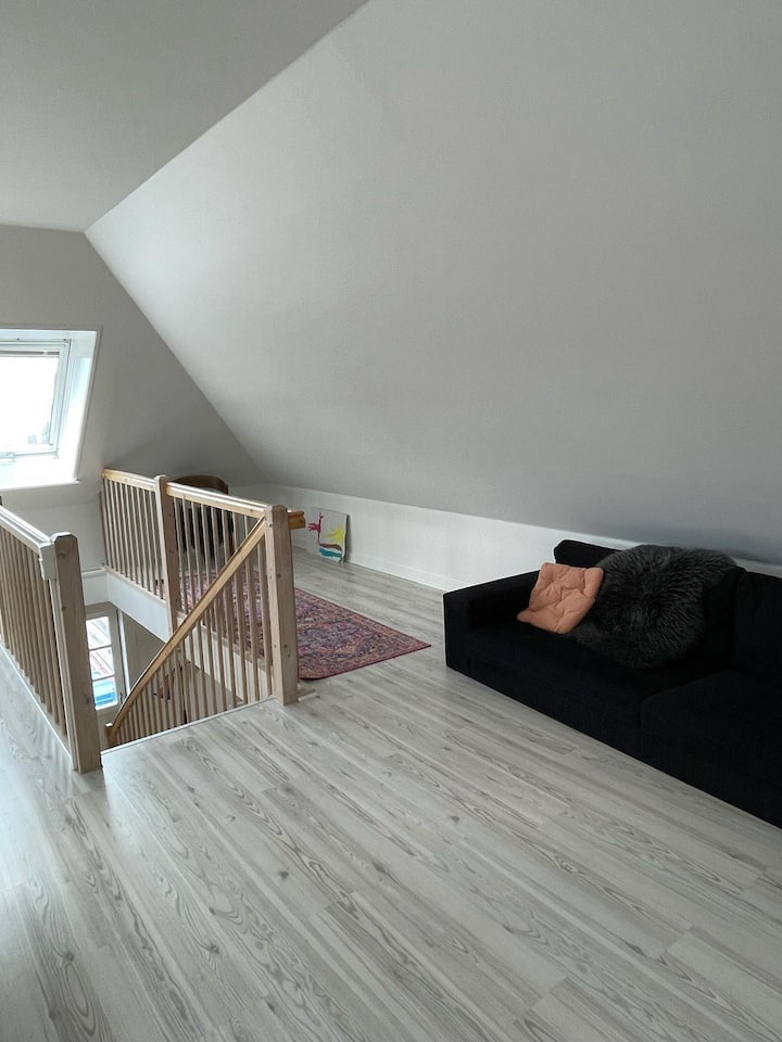 Spacious 2 Floor Appartment - Copenhagen