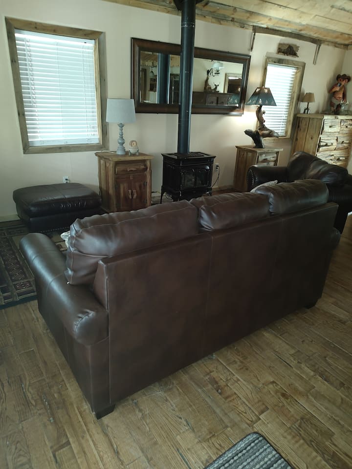 Soggiorno con divano letto. Pelle. Bella, pulita, facile da aprire... TV a grande schermo/ W Roku 