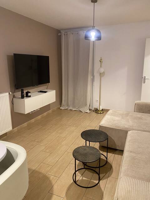 Apartment near Eurexpo, Groupama Stadium, Silk