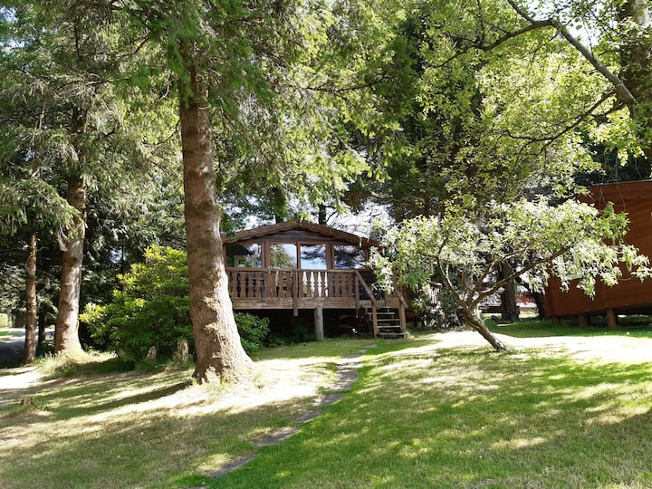Peaceful Log Cabin - Pine Tree Lodge - Harlech