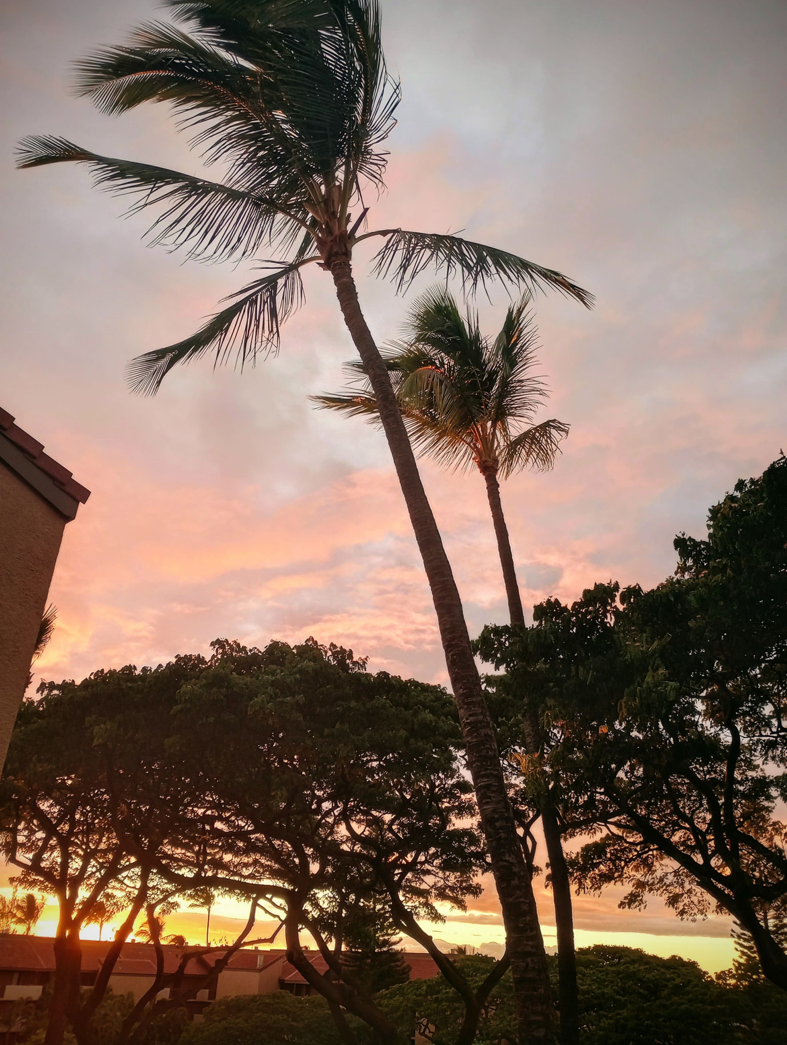 Condo in Kihei · ★4.98 · 1 bedroom · 2 beds · 1 bath - Image 57