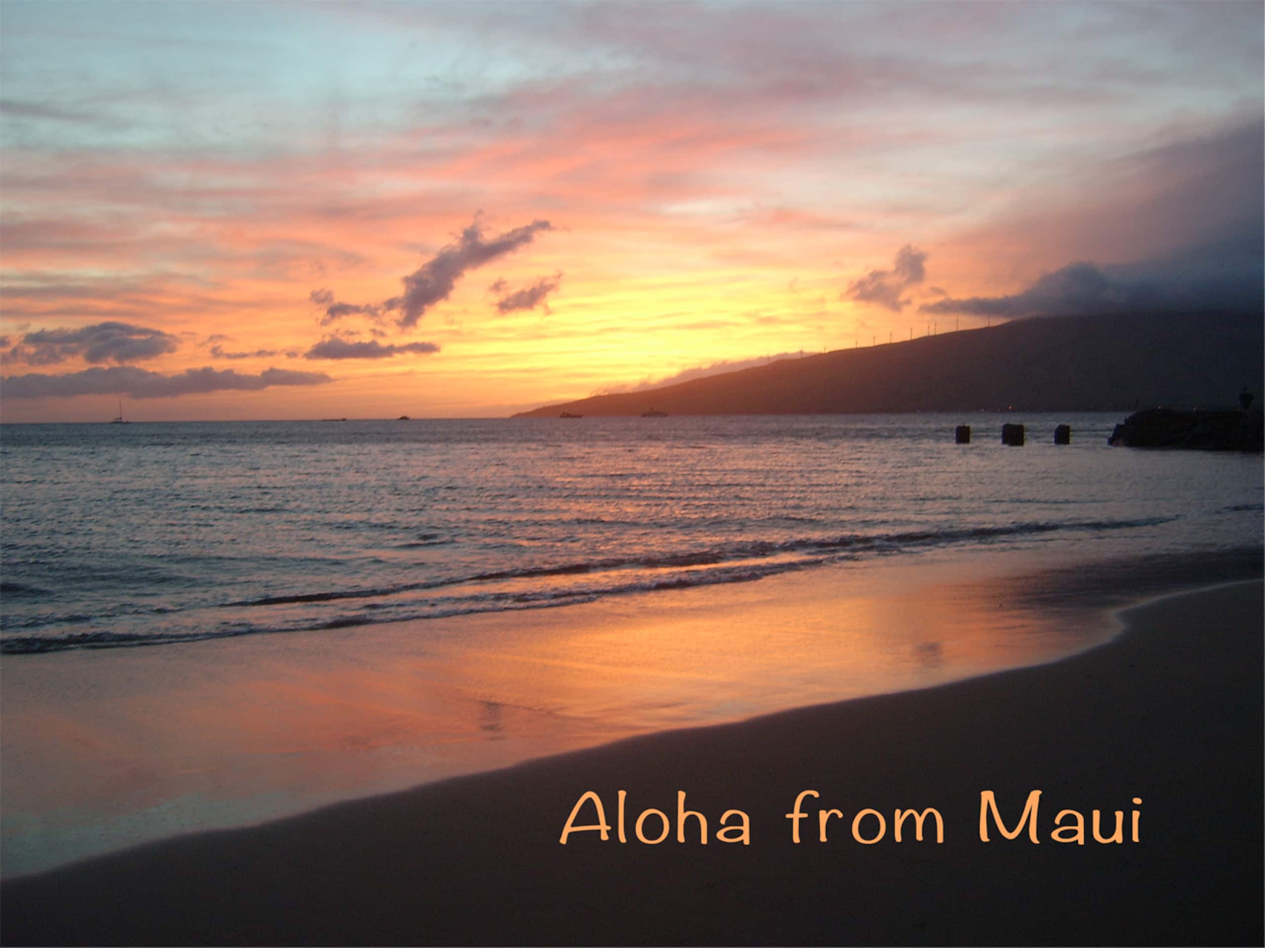 Condo in Kihei · ★4.98 · 1 bedroom · 2 beds · 1 bath - Image 81