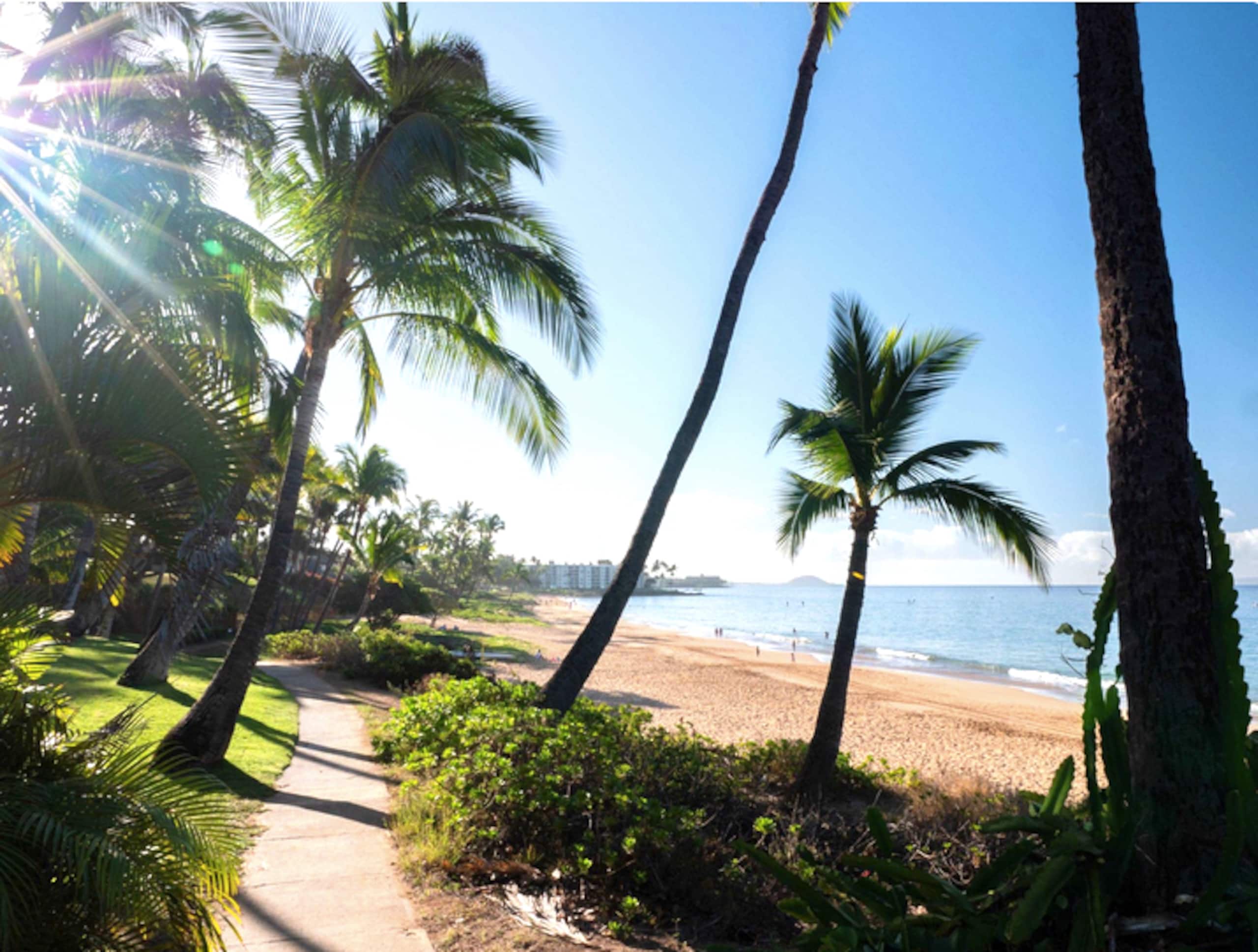 Condo in Kihei · ★4.98 · 1 bedroom · 2 beds · 1 bath - Image 67