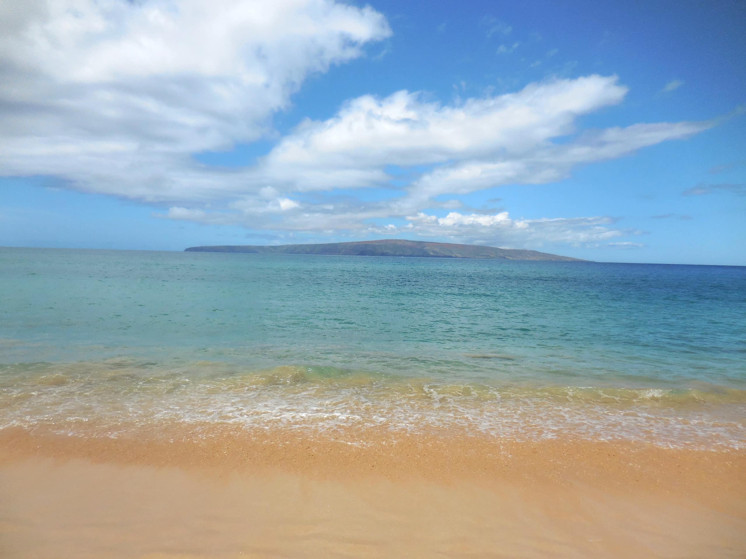 Condo in Kihei · ★4.98 · 1 bedroom · 2 beds · 1 bath - Image 76