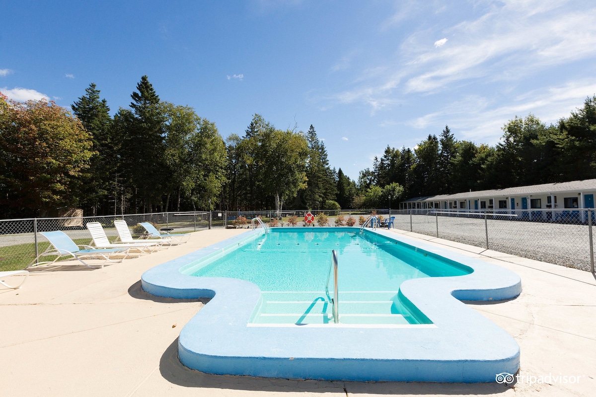 A centrally located outdoor pool showcases clear blue water surrounded by a sun deck. Several lounge chairs are positioned near the edges for relaxation. Lush greenery and trees provide a natural backdrop, enhancing the peaceful atmosphere of the area.