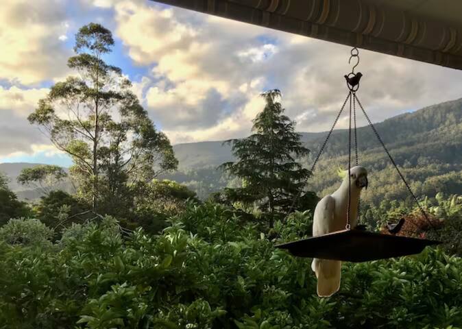 Mountain View Lodge, Warburton