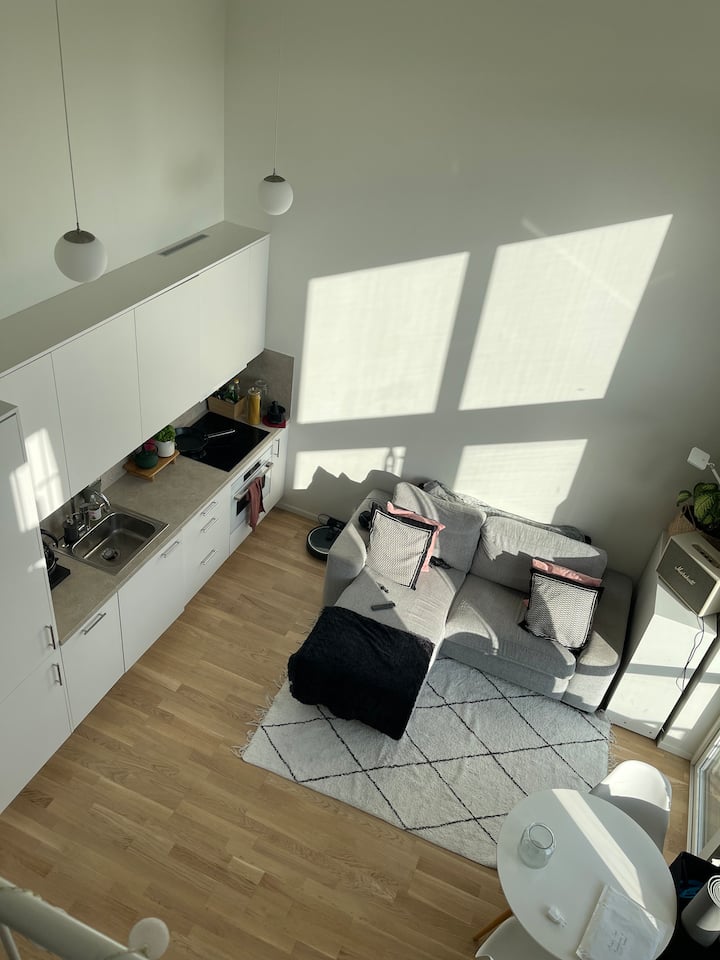 Studio 15 Min to Stockholm Fun! Apartments for Rent in Farsta