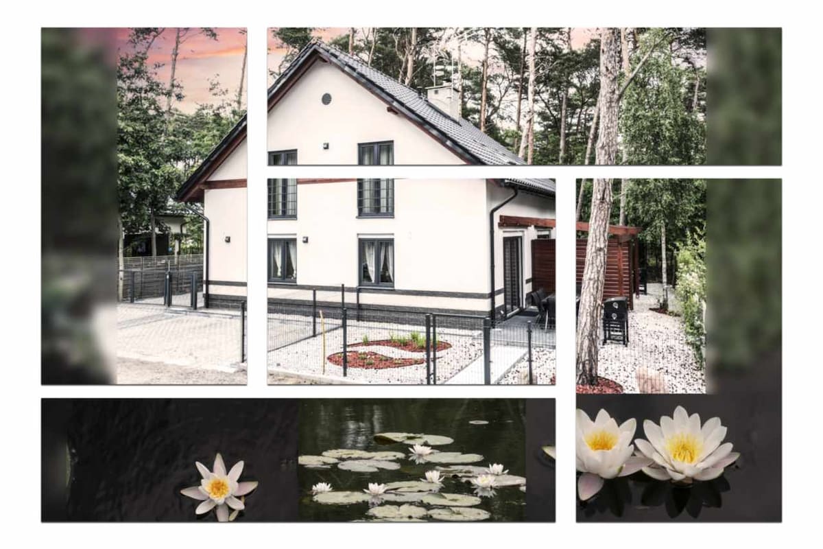 A modern villa is set within a serene environment, surrounded by greenery. A pathway lined with pebbles leads to the entrance. A tranquil pond with water lilies adds to the calming atmosphere outside the house.