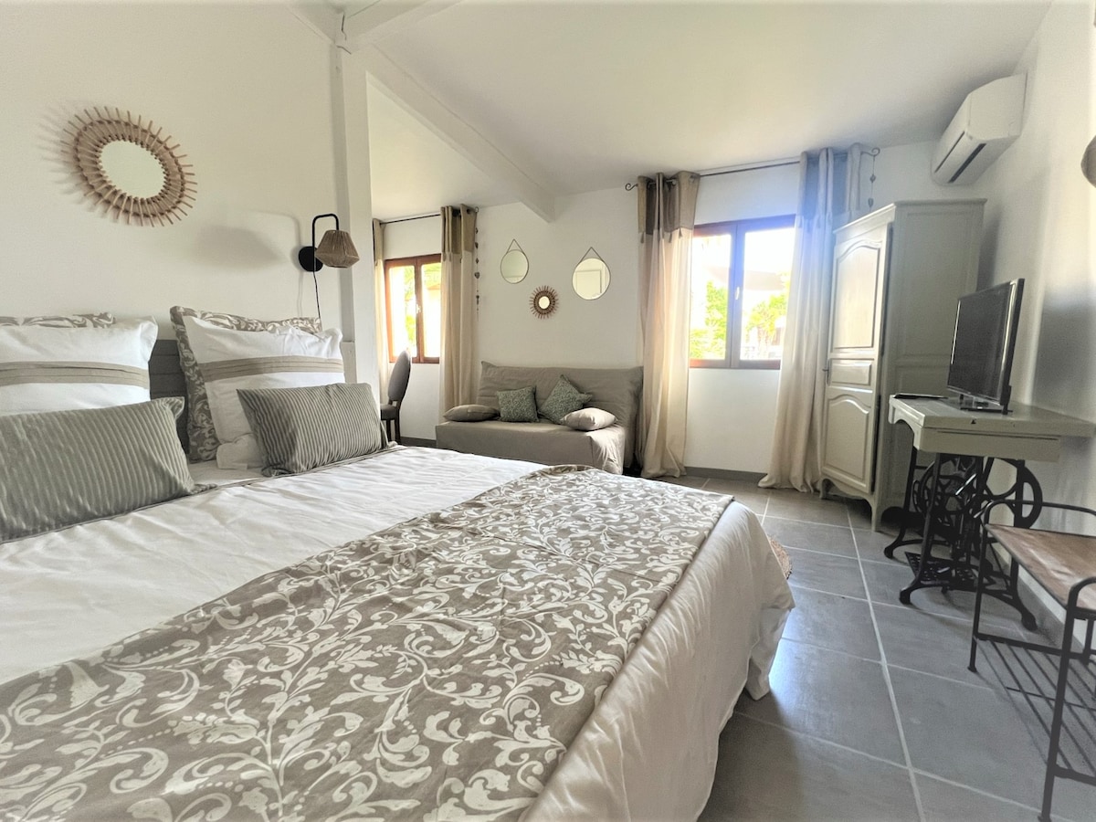 A spacious room features a large bed with light bedding and decorative pillows. Soft natural light enters through two windows, illuminating a cozy sitting area with a plush sofa. A TV and decorative elements, including mirrors and a wall-mounted lamp, enhance the room's inviting ambiance.