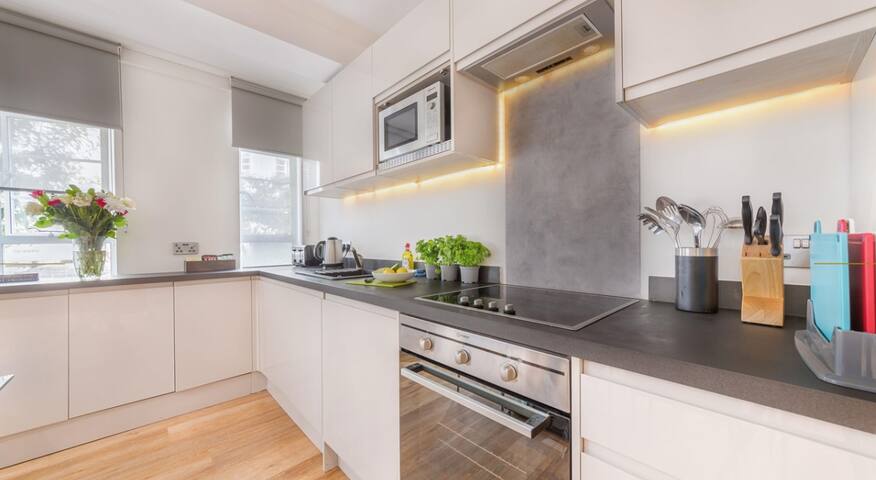 Two Bedroom Apartment 023 (500 SQ FT) gallery image 4