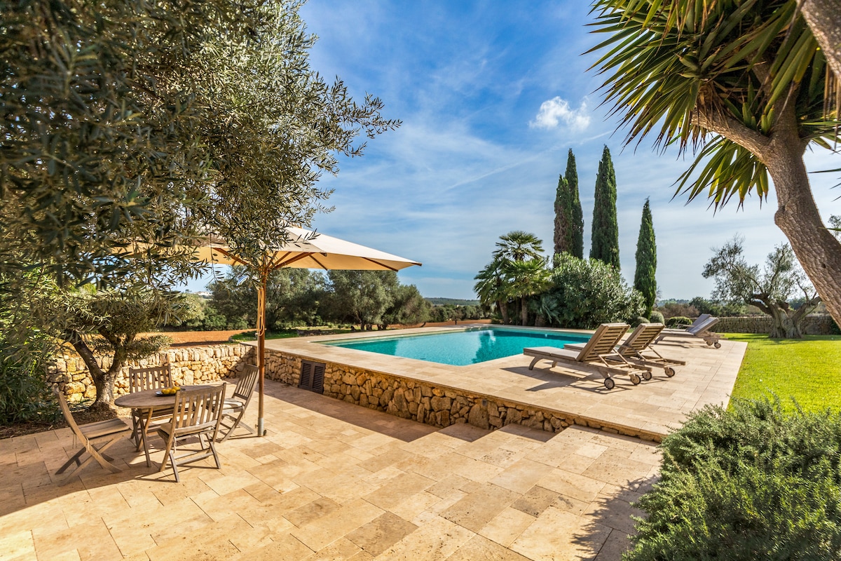 A serene outdoor area features a rectangular pool surrounded by a stone terrace. Sun loungers are situated beside the pool, while a patio table and chairs are positioned under a large umbrella, shaded by olive and palm trees. Lush greenery enhances the tranquil setting.