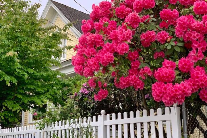 King Beds. Games. AC. Best Area w/ 95 Walk Score. gallery image 4