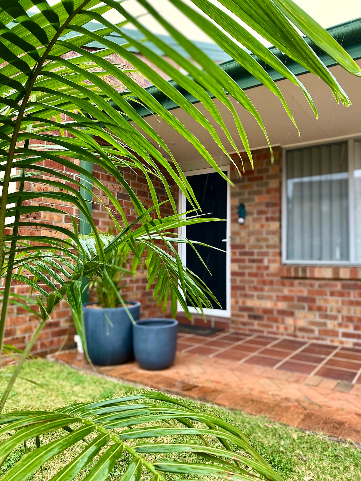 The entrance features a brick facade, with a welcoming doorway framed by large potted plants. Green fronds gently arch forward, adding a touch of nature to the entryway while providing a glimpse of the textured ground and soft lawn.
