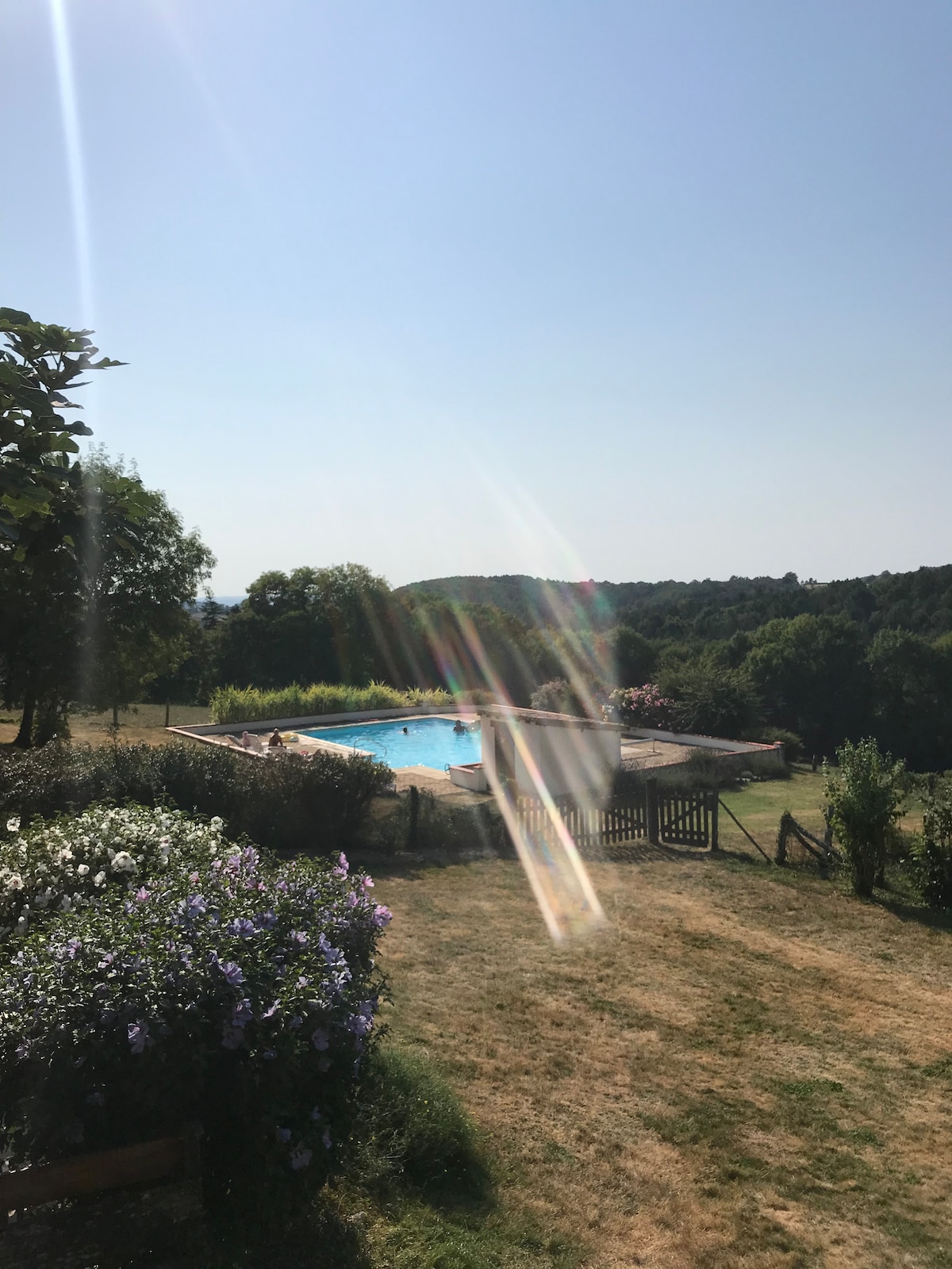 A swimming pool is framed by well-maintained grass and floral shrubbery, showcasing a serene outdoor setting. Trees and hills in the background contribute to a peaceful landscape, while sunlight reflects off the pool's surface, creating a bright atmosphere.
