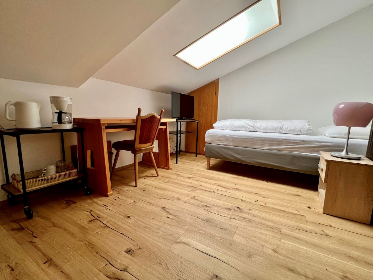 The room features a spacious layout with wooden flooring. A single bed is positioned against the wall, while a bright skylight allows natural light to fill the space. A small desk with a chair is present, along with a TV and a coffee maker on a mobile cart.