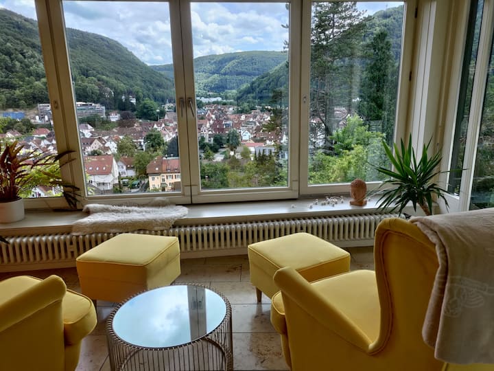 Villa Freudenberg - Unique view