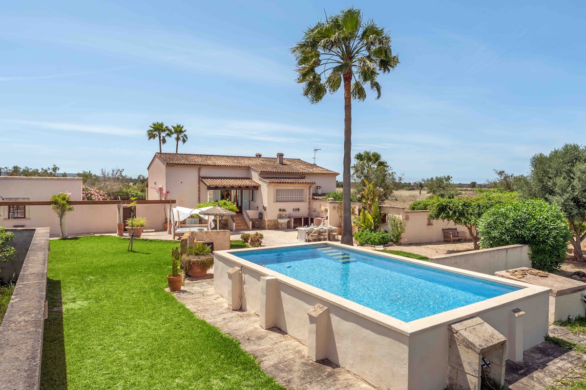 A spacious outdoor area is highlighted by a clear blue pool surrounded by a well-maintained garden. Palm trees and shrubs frame the property, with a terrace area visible in the background, featuring seating and an umbrella, all set against a bright, blue sky.
