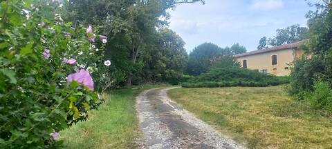 Accommodation in Hontaut  for a large group