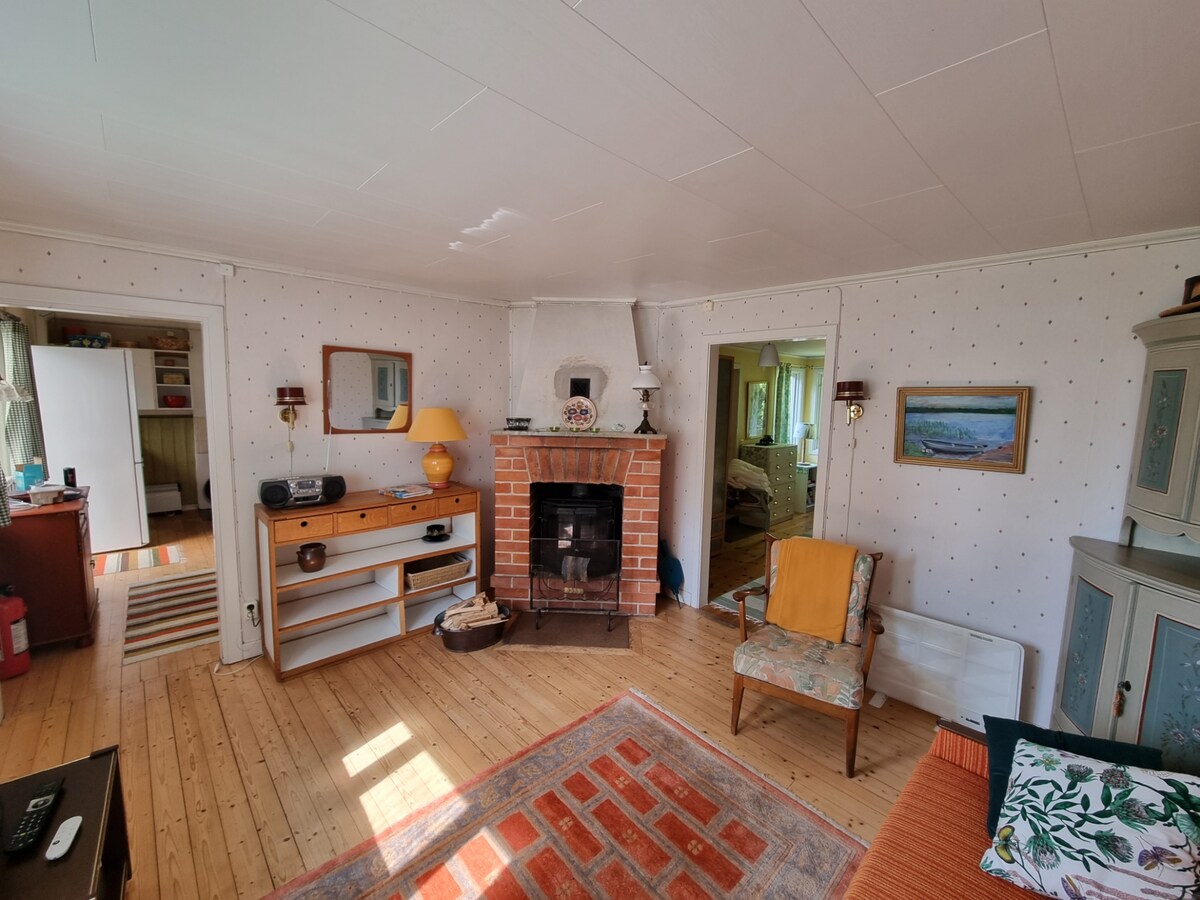 Всекидневна с разтегателен диван, телевизор и камина, но поставете.
Разтегателният диван е 160 см в удължено състояние.