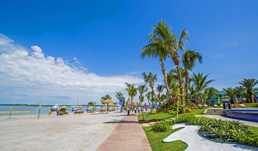 A beachside path is lined with palm trees and tropical landscaping, leading to the sandy shore. Sun loungers and colorful umbrellas are positioned near the water's edge, creating a welcoming space for relaxation. A clear blue sky stretches overhead, enhancing the vibrant atmosphere.