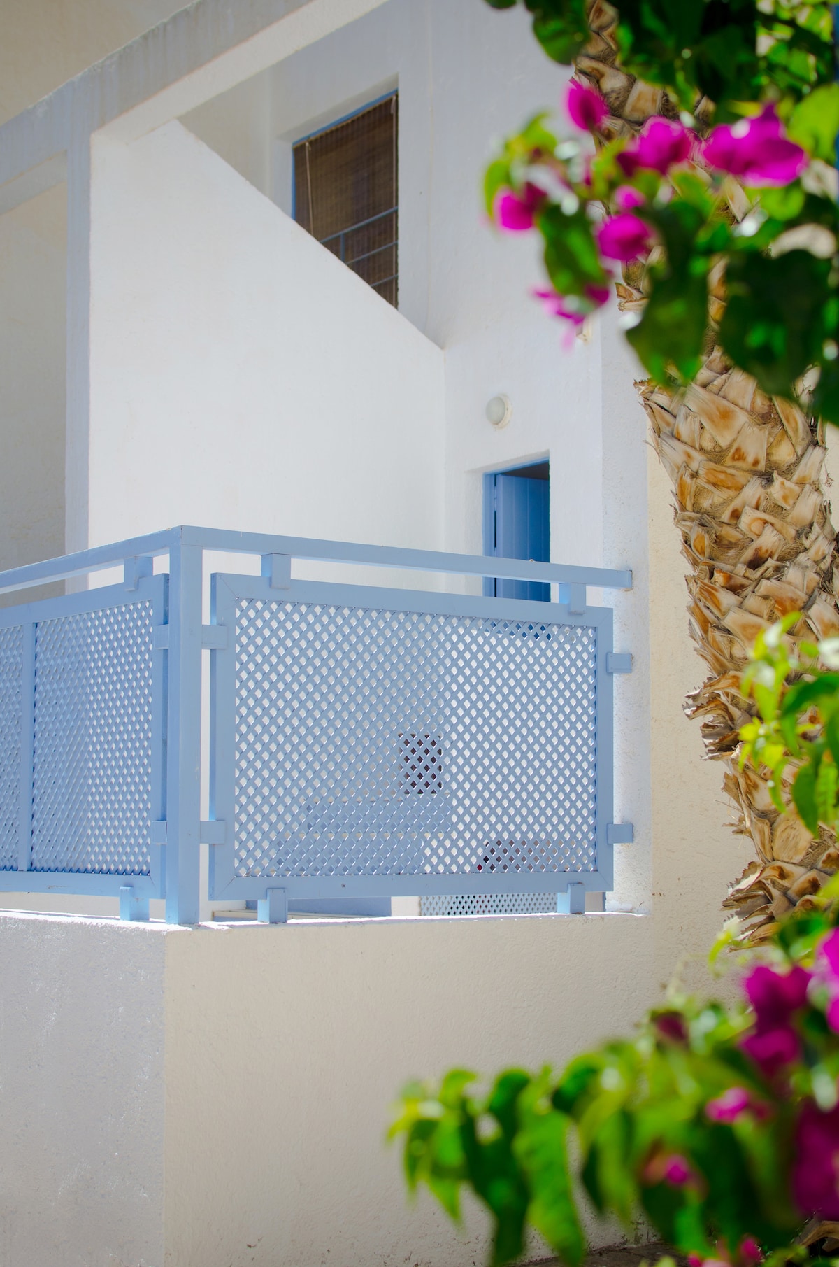 An outdoor space is framed by vibrant bougainvillea, showcasing a blue metal railing that offers privacy. The clean lines of the architecture are highlighted by the bright white walls, with a doorway visible in the background, inviting natural light to the area.