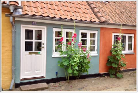 Charming townhouse close to beautiful swimming opportunities