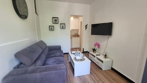 Top performing Airbnb: %OFFERS Special HOLIDAY% Jolie T2 COEUR de Lille in Wazemmes