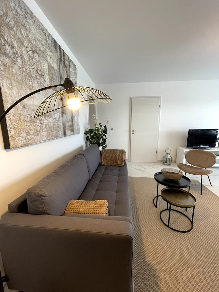 Beautiful apartment on the Swiss border