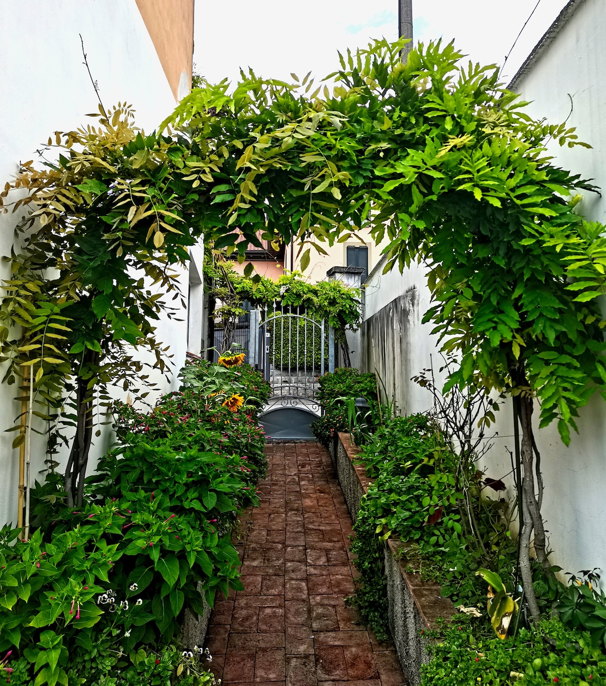 A lush green archway formed by climbing plants frames a narrow pathway leading to an ornate wrought-iron gate. The path is lined with vibrant flowers and shrubs, creating a serene atmosphere as sunlight filters through the foliage above.