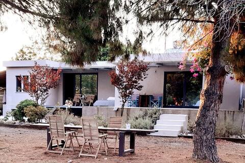 Beachfront sea view Coralia's  studio.