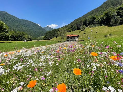 Successful Airbnb property: Natural Chalet, alpine authentic vibes in Ledro
