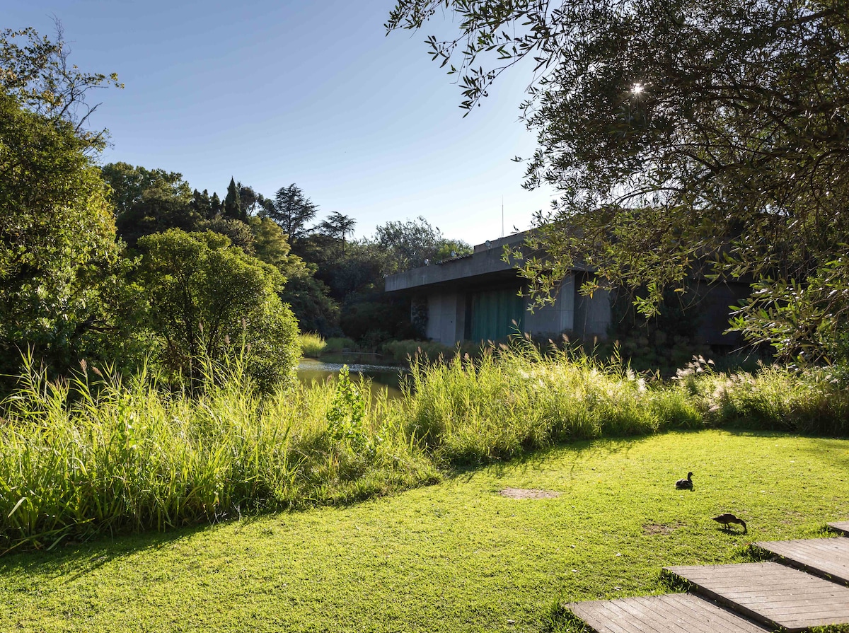 A peaceful outdoor area features lush green grass and tall grass bordering a serene body of water. A modern structure with concrete elements is visible in the background, surrounded by trees and natural foliage, creating a harmonious connection between architecture and nature.