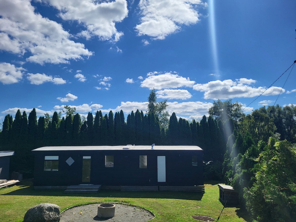 A simple dark-colored cottage is viewed under a bright blue sky dotted with clouds. The surrounding area is landscaped with well-maintained grass and tall trees providing privacy. A circular fire pit is placed in the foreground, adding a gathering space for guests.