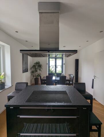 Fancy duplex apartment, green & quiet neighborhood gallery image 4