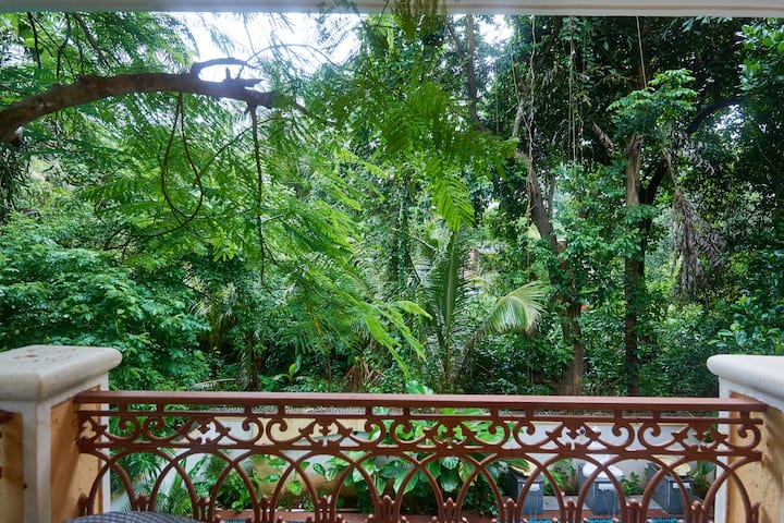 View from Balcony